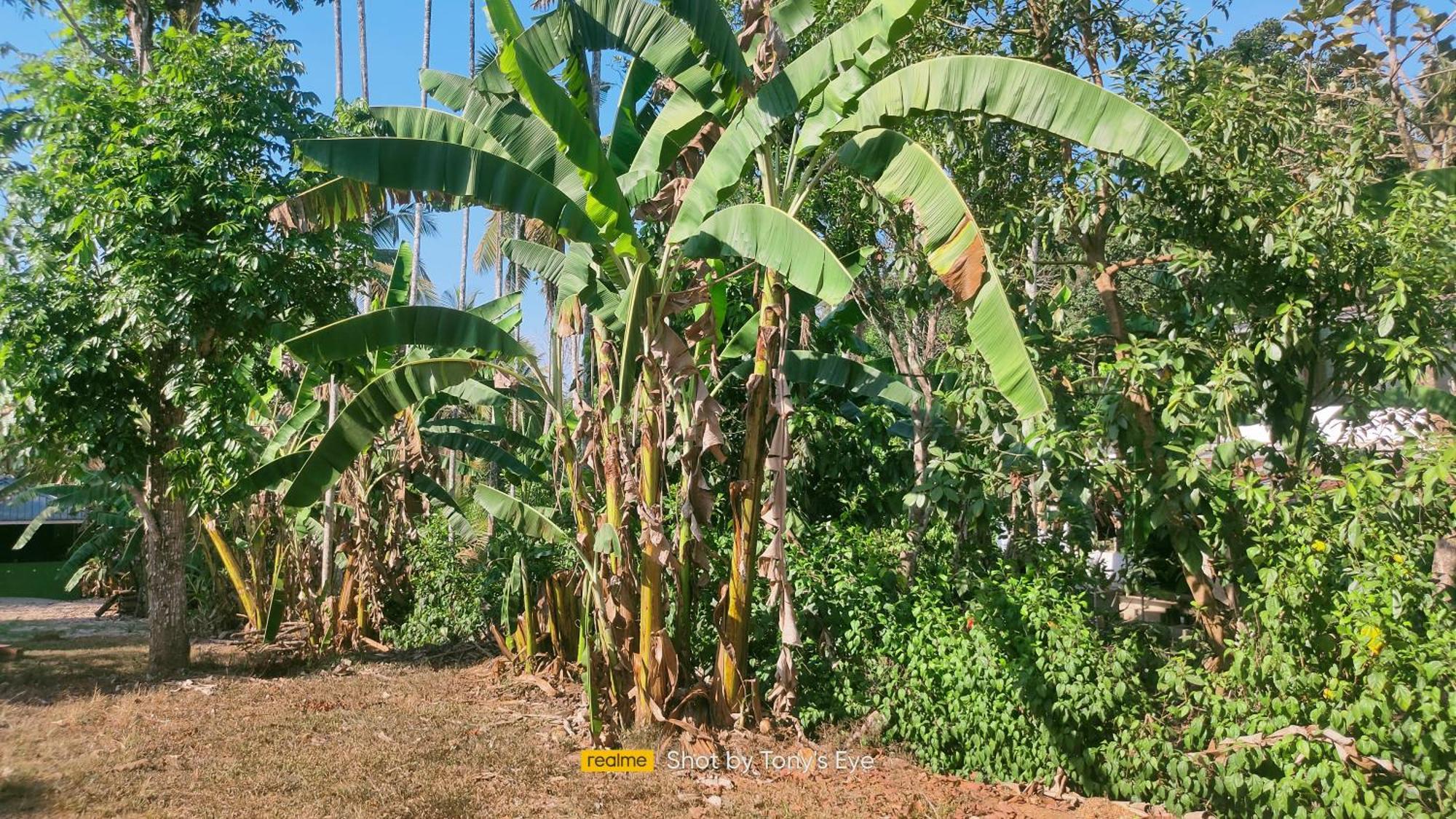 Karapuzha Adventure Park Homestay-By Karapuzha Resorts Meenangadi Luaran gambar